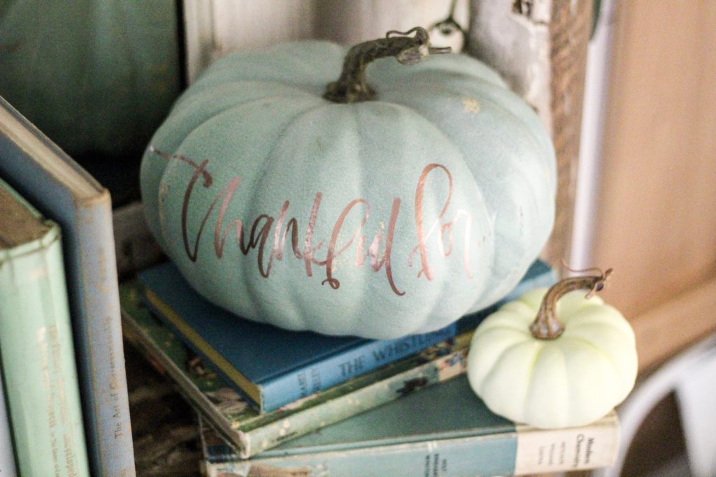 CottonStem.com blue hand lettered pumpkins copper decor