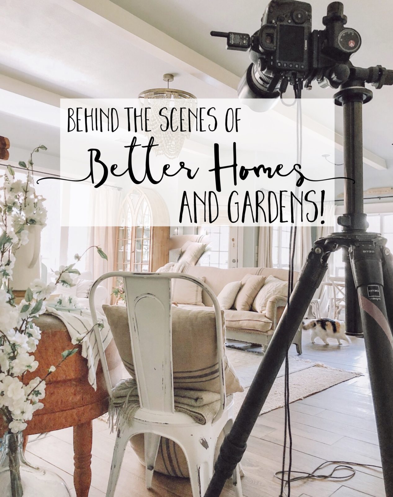 Behind the Scenes of our Better Homes and Gardens photo shoot! - Cotton ...